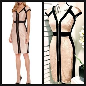 ✨NWT✨Gorgeous Cap Sleeve Front Zipper Sheath Dress